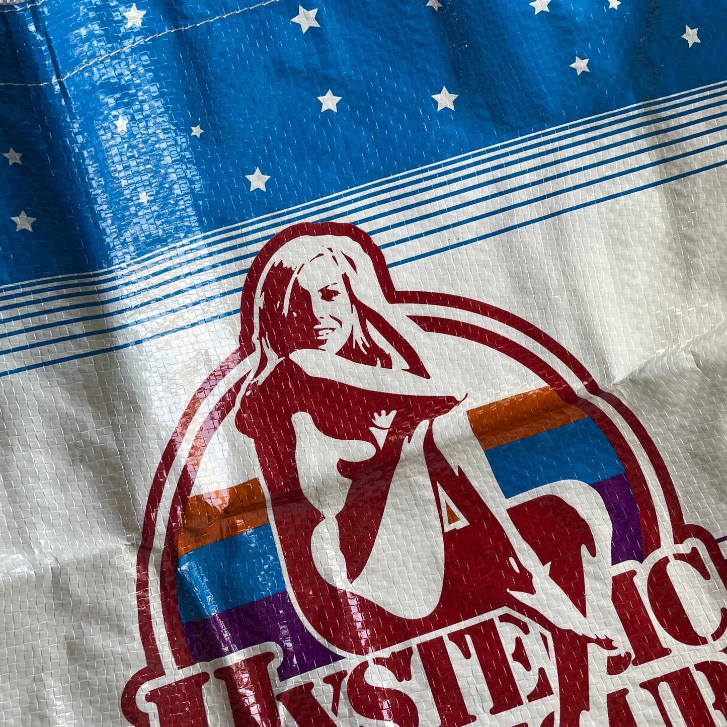 Bolsa Hysteric Glamour